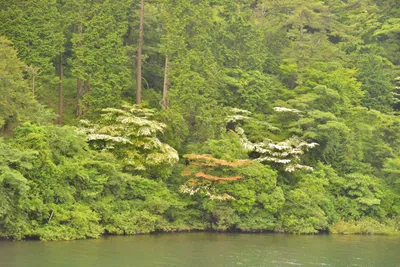 DSC_3763 (Large).JPG